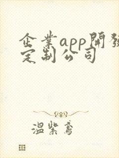 企业app开发定制公司