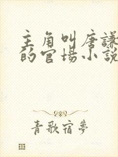 主角叫唐谦哥哥的官场小说