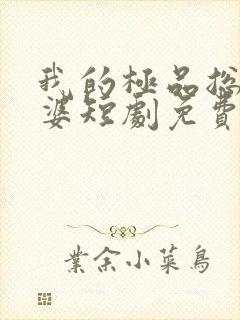 我的极品总裁老婆短剧免费观看