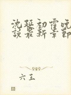 沈延初霍晚棠小说最新章节