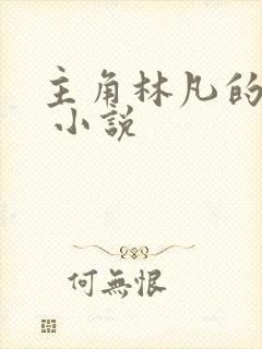 主角林凡的小说 小说