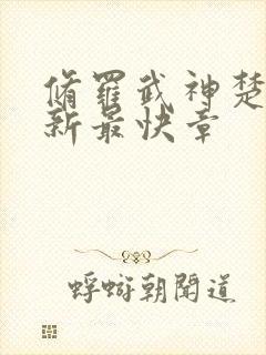 修罗武神楚枫最新最快章