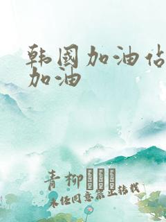 韩国加油站怎么加油