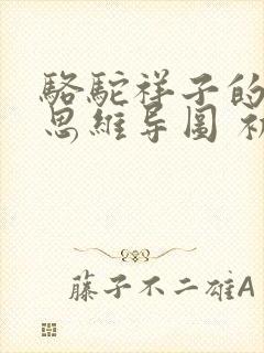 骆驼祥子的情节思维导图 初中