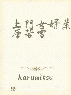 上门女婿叶凡与唐若雪