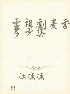 电视剧麦香全集多少集