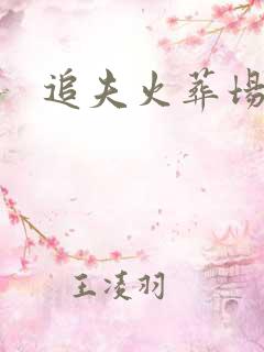 追夫火葬场的文