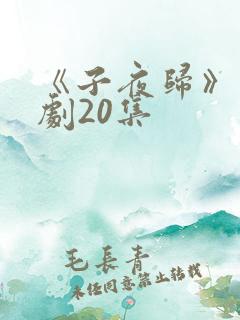 《子夜归》电视剧20集