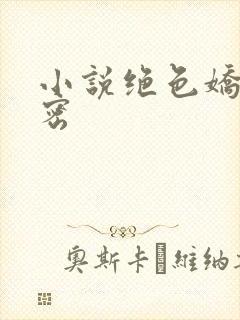 小说绝色娇妻秘密