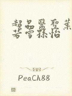 超品医圣叶辰夏若雪孙怡