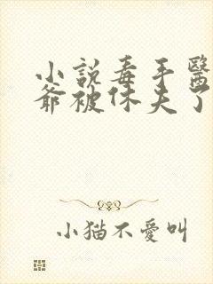 小说毒手医妃王爷被休夫了完整版