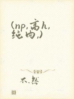 (np,高h,纯肉,)