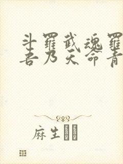 斗罗武魂罗三炮吾乃天命青龙免费