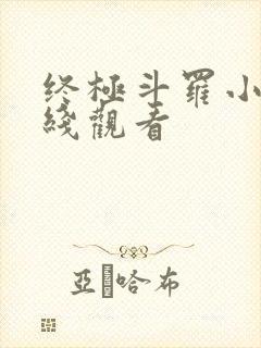 终极斗罗小说在线观看