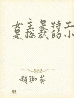 女主是特工男主是总裁的小说