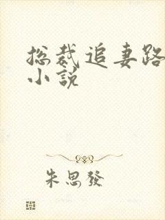 总裁追妻路漫漫小说