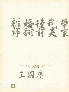 离婚后我带四崽炸翻前夫家35