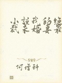 小说我的绝色总裁未婚妻最新章节