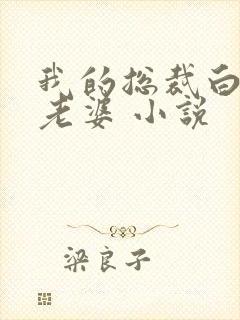 我的总裁白富美老婆 小说