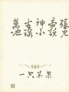 万古神帝张若尘池瑶小说免费阅读完整版