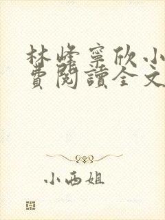 林峰宁欣小说免费阅读全文最新章节宁饮