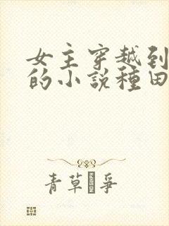 女主穿越到古代的小说种田文