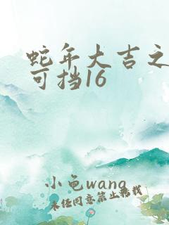 蛇年大吉之婚不可挡16