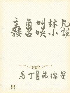 主角叫林凡的骷髅召唤小说