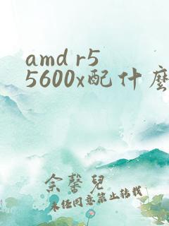 amd r5 5600x配什么显卡
