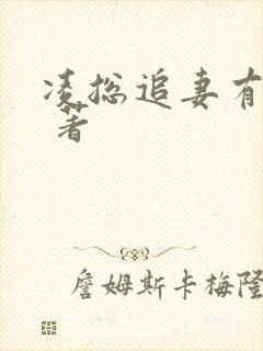 凌总追妻有点甜 著