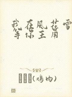 我在风花雪月里等你主角