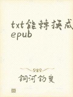 txt能转换成epub