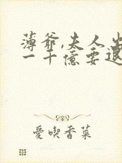 薄爷,夫人出价一千亿要退婚txt