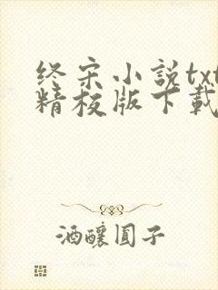 终宋小说txt精校版下载