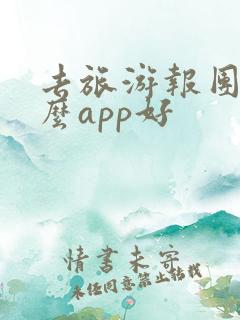 去旅游报团用什么app好