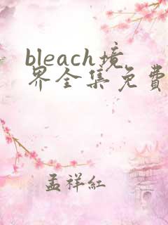 bleach境界全集免费完整版