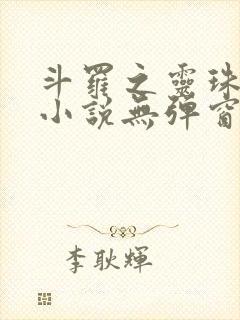 斗罗之灵珠神剑小说无弹窗口