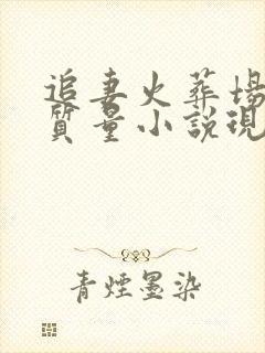 追妻火葬场的高质量小说现代言情