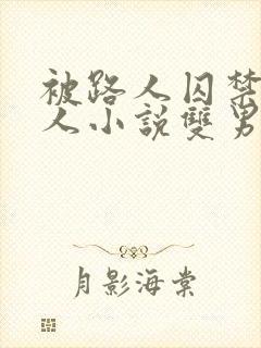 被路人囚禁的美人小说双男主