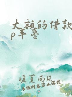 大额的借款app平台