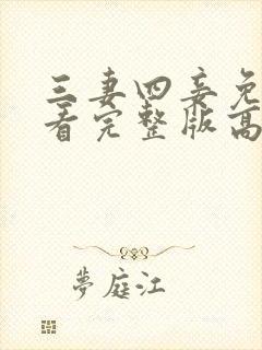 三妻四妾免费观看完整版高清,