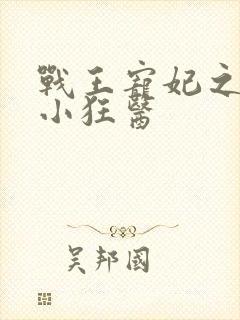 战王宠妃之倾世小狂医