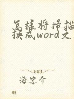 怎样将扫描件转换成word文档