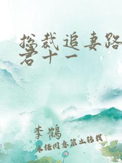 总裁追妻路漫漫君十一