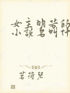 女主明若的穿越小说名叫什么