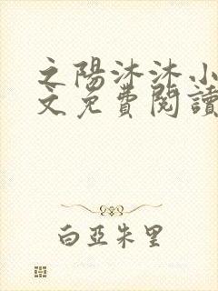 之阳沐沐小说全文免费阅读