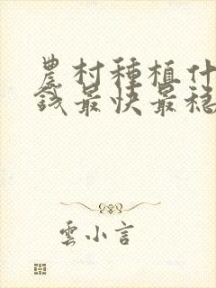 农村种植什么赚钱最快最稳