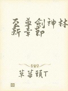 至尊剑神林辰最新章节