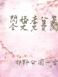 闪婚老公是总裁全文免费阅读