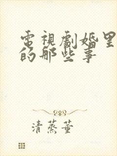 电视剧婚里婚外的那些事